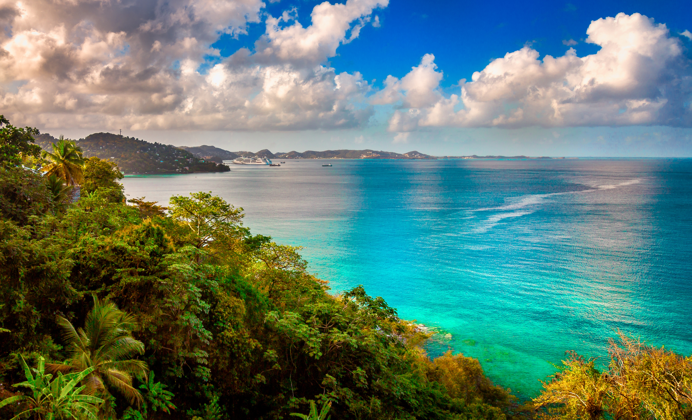 Caribbean Bay from Hillside | The Wandercents